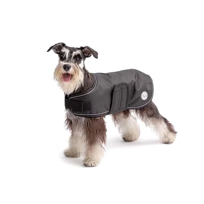 Capa impermeable negra para perro