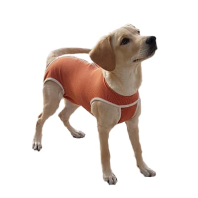 Body de Cobre Post Quirúrgico para Perros y Gatos (sin patas)