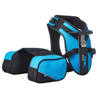 Arnés deportivo para perros