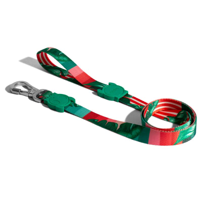 Zeedog Bali Leash L