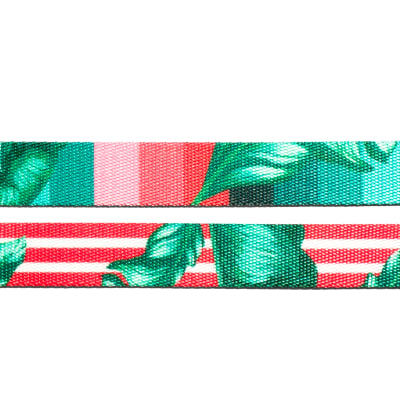 Zeedog Bali Leash L