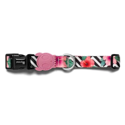 Zeedog Mahalo Collar