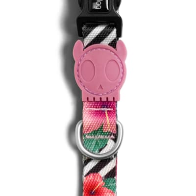 Zeedog Mahalo Collar
