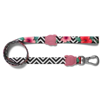 Zeedog Mahalo Leash