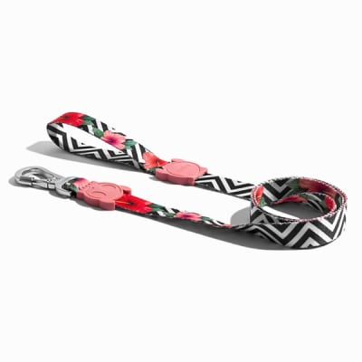 Zeedog Mahalo Leash