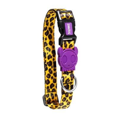 Zeedog Honey Collar