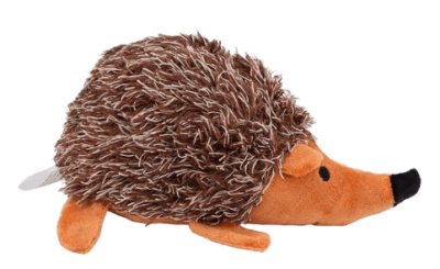 Puerco espin