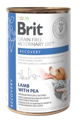BRIT LATA RECOVERY P/G 400GR