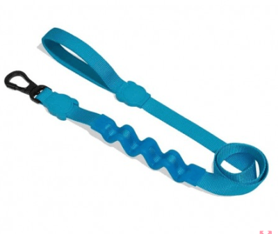 Ultimate blue ruff leash