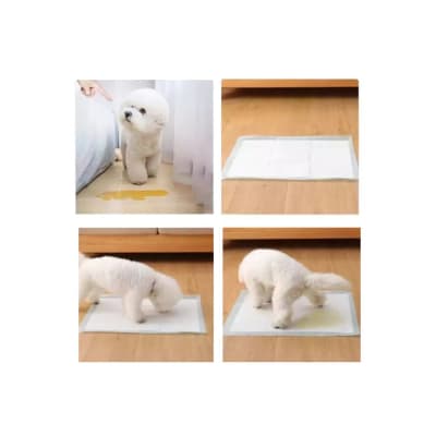 Pads de entrenamiento - viajeros