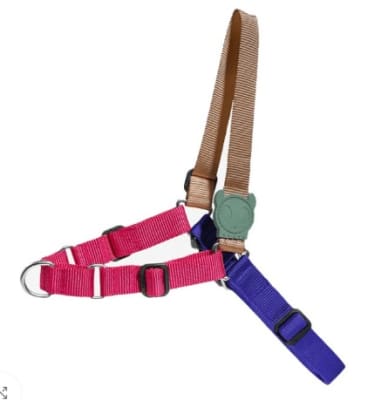 yucca soft-walk harness