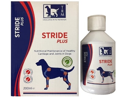 Stride Plus Perro