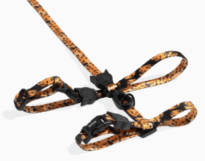 Arnes y Correa Bossa Banana Gato Zeecat