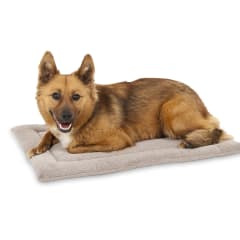Mat Colchoneta para Kennel para perros de 30 a 50 lbs