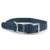 Bull nylon collar azul con hebilla1