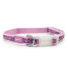 Avenue collar perro pequeño, nylon rosado1