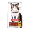 Hill's F Adult Hairball Control 1.58KG1