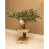 Arbol gato rascador con ramas1