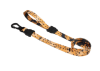 Correa Bossa Nova Zeedog1