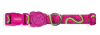 JELLY regular collar1