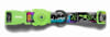 MANIFESTO regular collar1