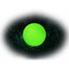 Juguete pelota fluorescente para perro1