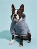 Petsin sweater Capucha Gris