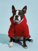 Petsin sweater con capucha Roja