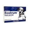 Rostrum Antibacteriano para perros de raza grande 10 comprimidos 150 mg1