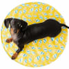 Manta refrigerante ICE MAT para perros1