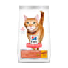Hill's F Hairball Control Light Adult para gatos 3.17 kg1