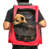 Mochila Transporte con Ruedas para mascotas1