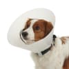 COLLAR ISABELINO BUSTER Classic