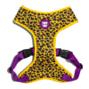 Zeedog Honey Adjustable Mesh Plus Harness1