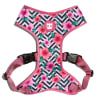Zeedog Mahalo Adjustable Air Mesh Harness1