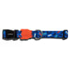 Zeedog Atlanta Collar1