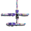 Zeecat Candy Harness & Leash1