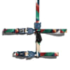 Zeecat Pacco Harness & Leash1