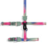 Zeecat Bliss Harness & Leash1