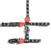 Zeecat Skull Harness & Leash1