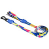 Zeedog Volt Leash1