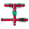 Zeedog Lola H-harness1