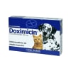 Doximicin Antibiótico para perros y gatos 10 comprimidos 100mg1