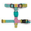 Zeedog Salina H Harness M1