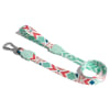 Zeedog Marcuch Leash L1