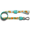 Zeedog Florida Leash1