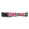 Zeedog Mahalo Collar1