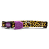 Zeecat Honey Collar1