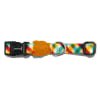 Zeedog Phantom Collar1