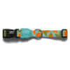 Zeedog Florida Collar L1